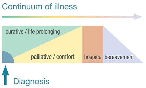 Hospice Vs Palliative Care Chart