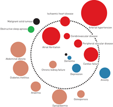 COPD comorbidities