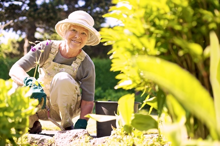 gardener