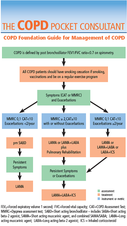 Resource of the Month: Just updated! The COPD Foundation's 