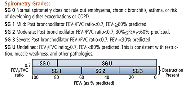 Spirometry Grades